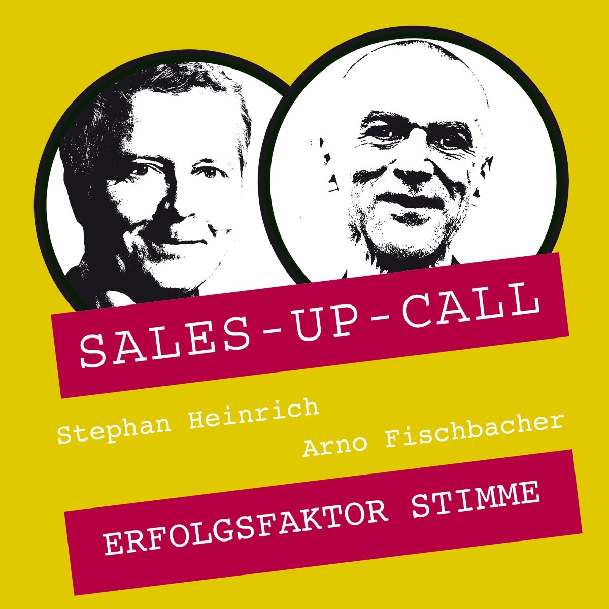 Erfolgsfaktor Stimme - Sales-up-Call - Stephan Heinrich
